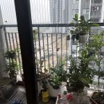  70m2 - 6