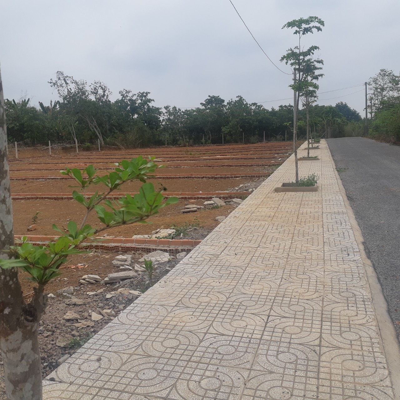 Bán gấp đất thổ cư chợ Hưng Lộc,Thống Nhất,Đồng Nai chỉ cần 420 triệu tặng ngay 2 chỉ vàng 9999