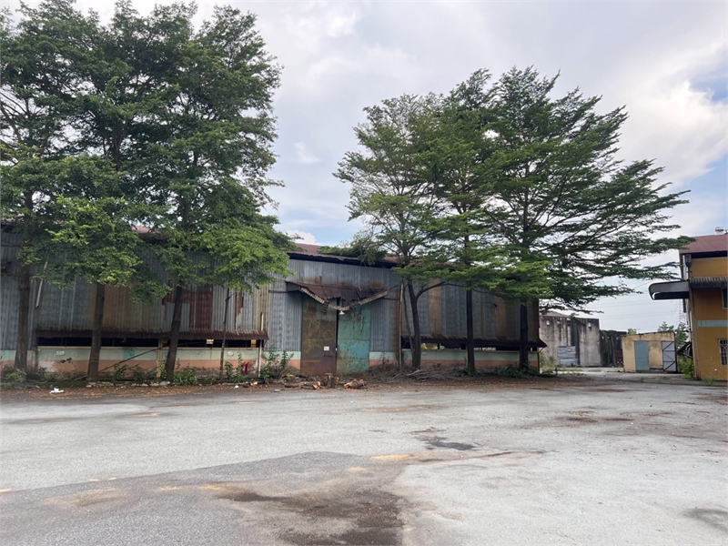 Xưởng sản xuất cho thuê, phù hợp quý khách hàng thuê đầu tư sửa chữa làm kho cho sản xuất.