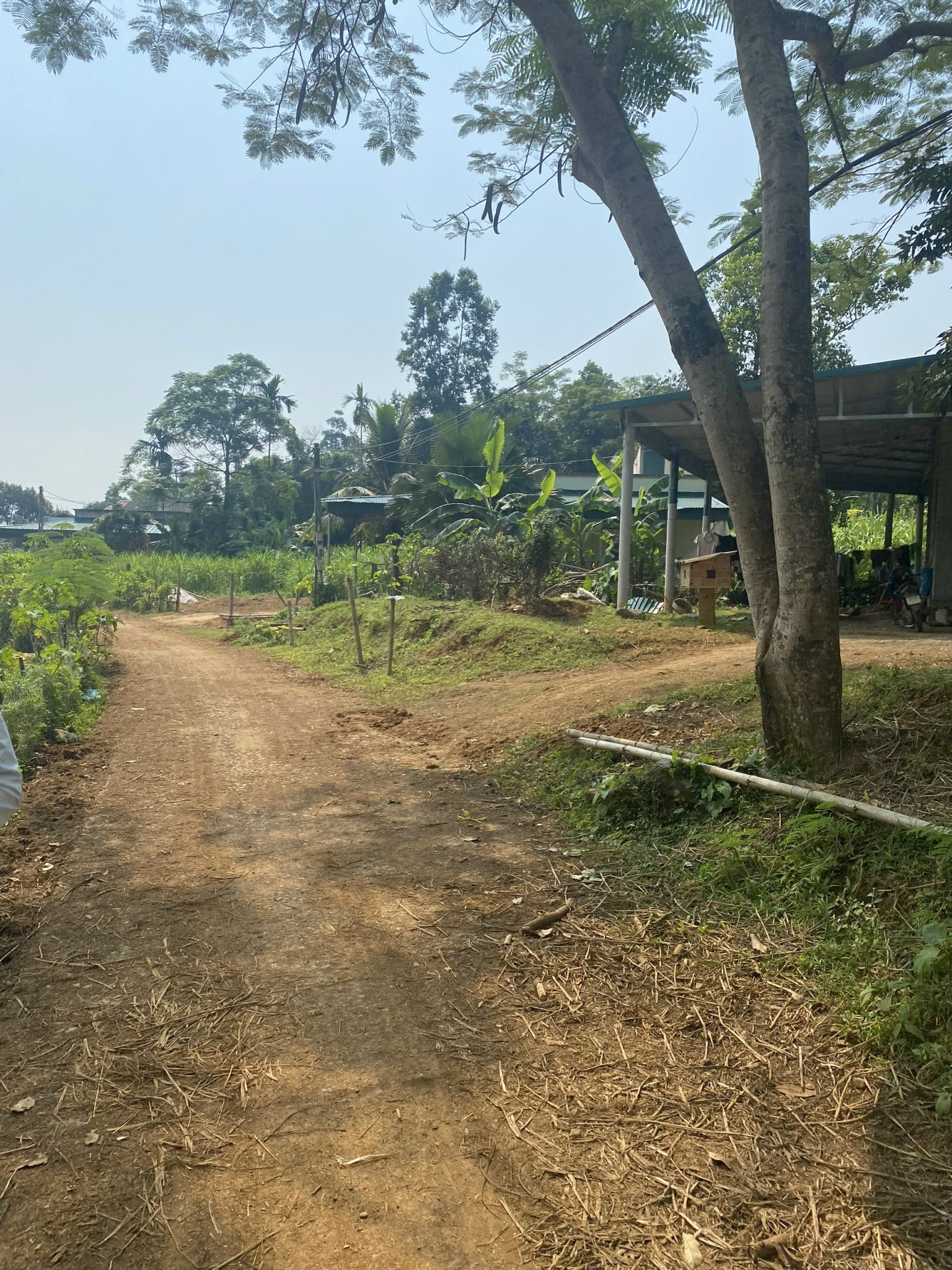 Chính chủ cần bán lô đất tại Thôn Vũ Bình