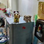  50m2 - 1