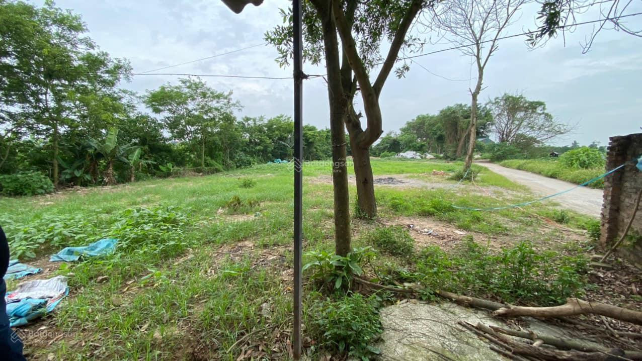 Chuyển nhượng dự án trang trại-nghỉ dưỡng huyện thuận thành - thích hợp đầu tư