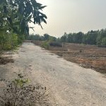  1000m2 - 5