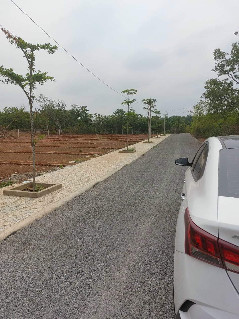 Bán Gấp lô đất thổ cư Tại Ngã 4 Dầu Giây,Thống Nhất, Đồng Nai chỉ 420 triệu sang tên ngay