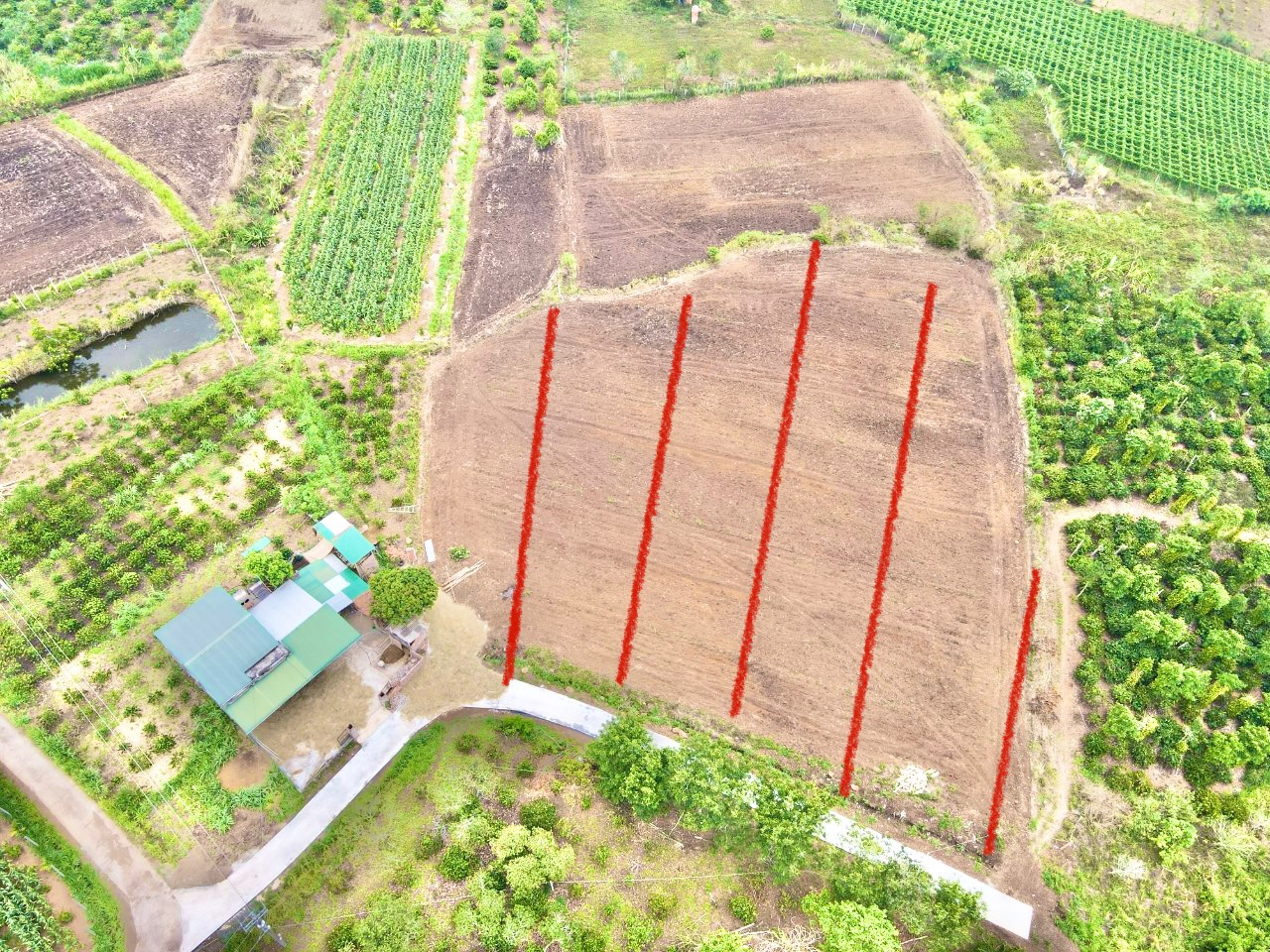 Đất TX Buôn Hồ, 580m2, TC 60m2, MT bê tông , gần QL 29, KDC hiện hữu,sổ sẵn chỉ 240 tr