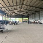  6000m2 - 3