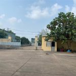  6000m2 - 1