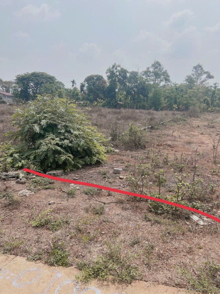 Đất thổ cư Trục chính Tara, 1 lô sổ sẵn giá rẻ hơn xung quanh nhiều