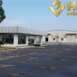  10000m2 - 6