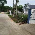  600m2 - 6