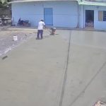 13095m2 - 6