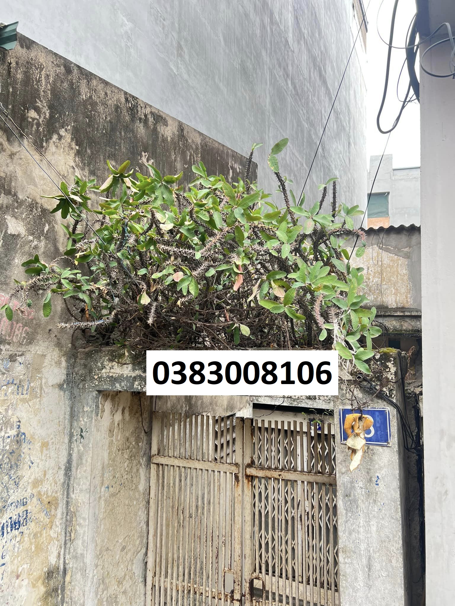 SIÊU PHẨM ĐẦU TƯ ĐỐNG ĐA 134m2 - 12tỷ DÒNG TIỀN KHÁCH SẠN-CHUNG CƯ MINI-TOÀ NHÀ VĂN PHÒNG