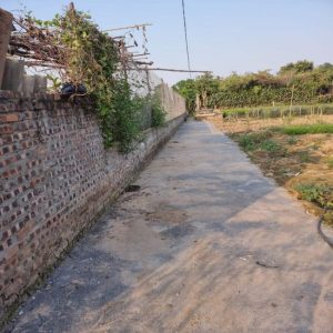 Bán đất khu vườn đào Phú Thượng, Tây Hồ, Hà Nội.