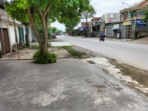 CHO THUÊ ỐT TẠI XÓM 7, XÃ QUỲNH BÁ, QUỲNH LƯU
