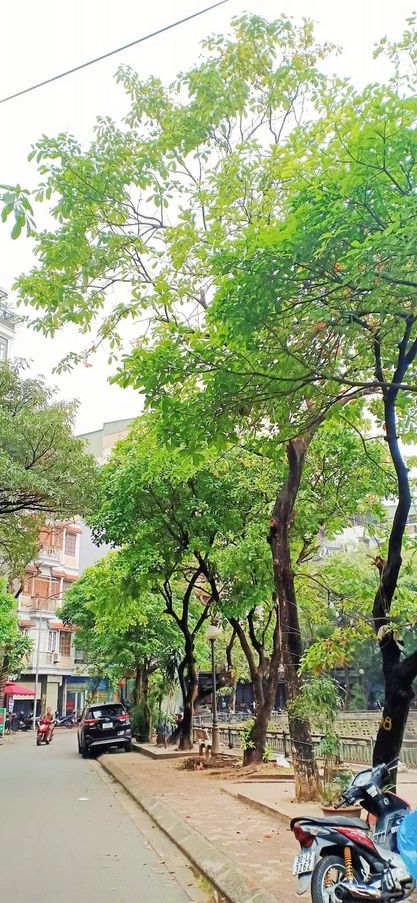 BÁN NHÀ PHỐ KIỀU MAIKINH DOANH - Ô TÔ 7 CHỖ ĐỖ CỬA -ĐỈNH NHẤT KHU VỰC 5M, 3.98 tỷ