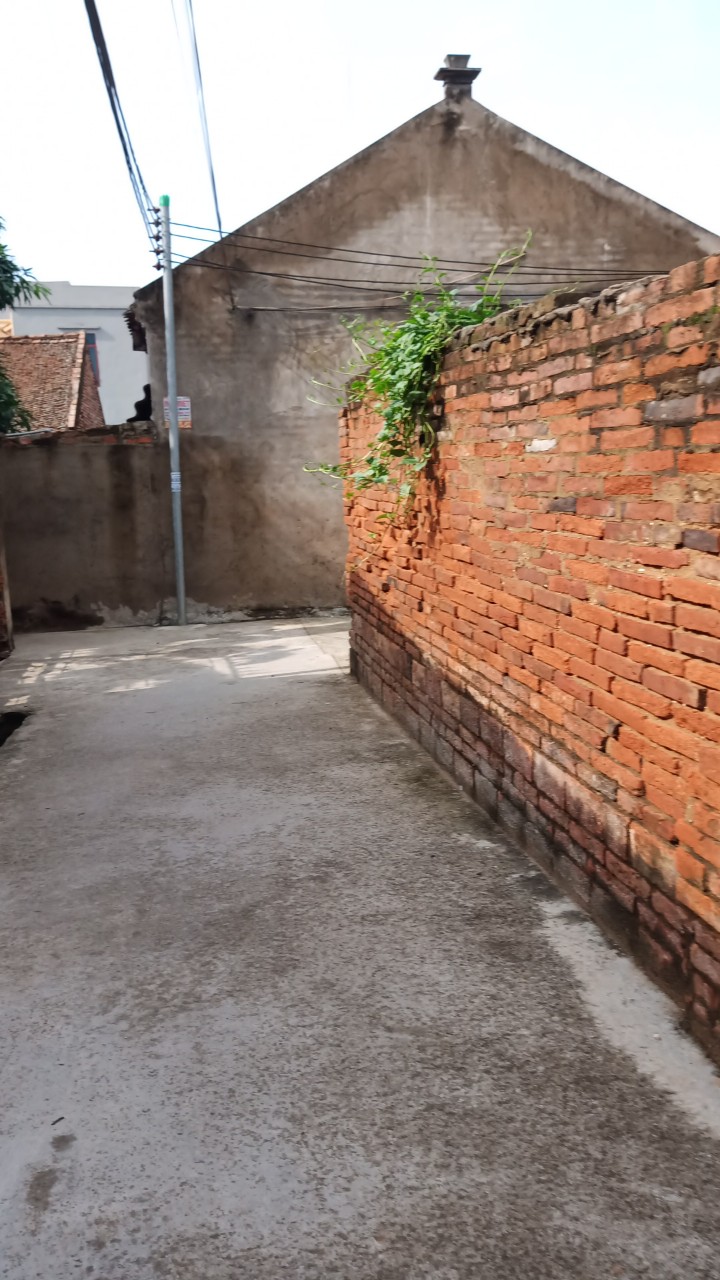 Bán đất 53m, Đất Minh hải – Văn lâm. Giá 767 triệu, ô tô vào.