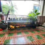  50m2 - 5
