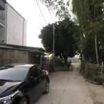 80m2