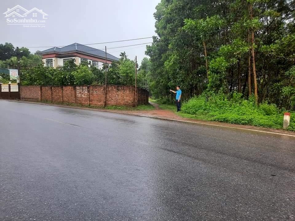 CHÍNH CHỦ Bán Đất 2 Mặt tiền TL 320C Khu 12, Đông Thành Thanh Ba Phú Thọ