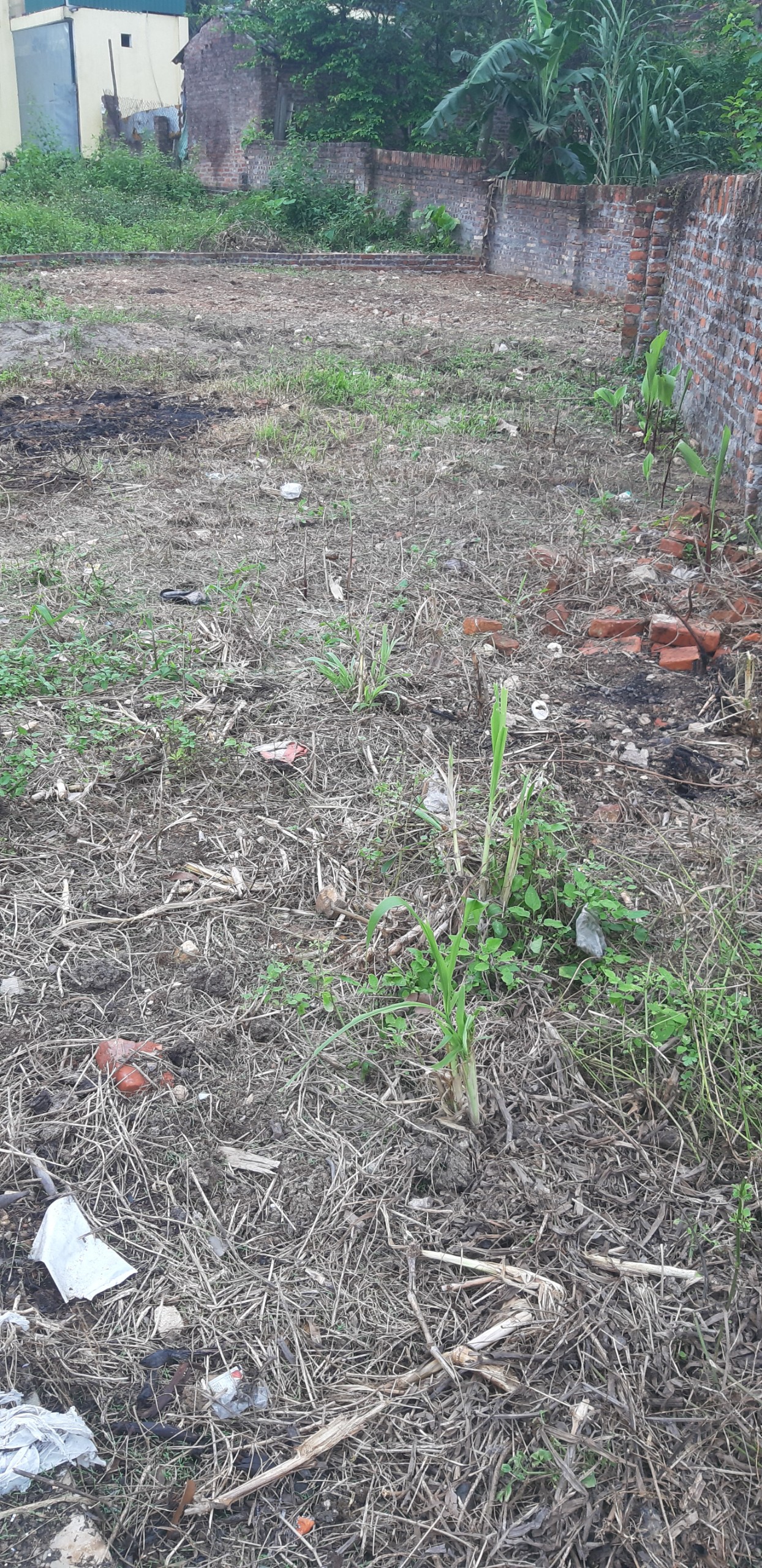 Chính chủ cần tiền gấp bán gấp lô Đất Thổ Cư, Đã có sổ 91m2