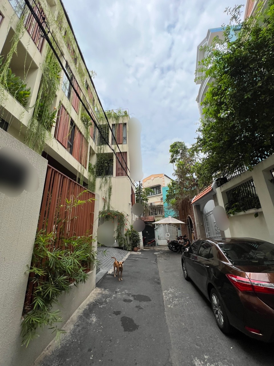 Cho thuê toà nhà đường Nam Kỳ Khởi Nghĩa. Ngang lớn 17m, hệ thống PCCC đầy đủ. Giá: 16.000$