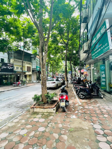 Bán nhà Mặt phố Phan Kế Bính giá 25 tỷ, 80mx5 tầng, MT 8m