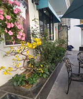 Bán nhà mặt phố Nguyễn Khuyến, Đống Đa. 156m2,2 tầng, mặt tiền 5m, giá 65 tỷ