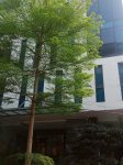  270m2 - 1