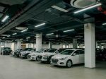  5000m2 - 3