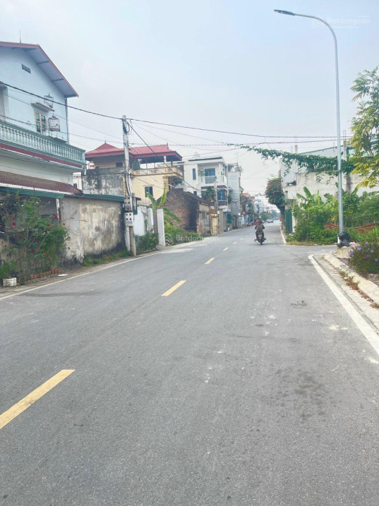 Chính chủ cần chuyển nhượng 100m2 Cổ Dương, Tiên Dương, Đông Anh .Đối diện công viên đường nhựa 8m