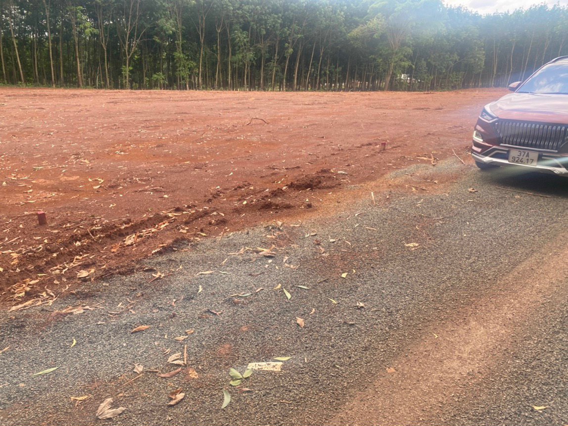 250m2 dat tho cu so san sat truong tieu hoc gia khai thong nguon von 520tr 5424387