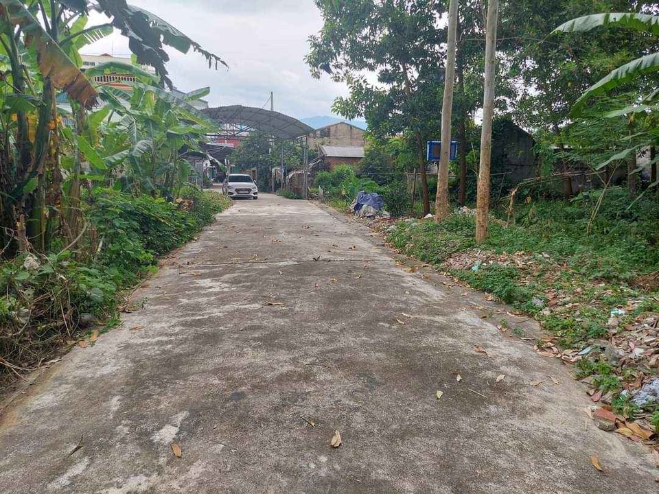 B.á.n đất làm trang trại mặt đường vành đai Thanh Yên – huyện Điện Biên