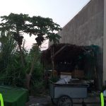  100m2 - 4