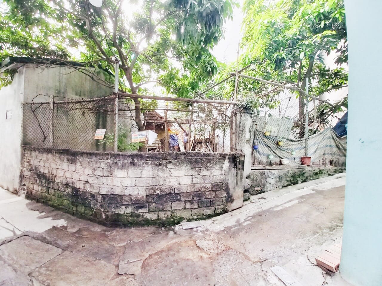  100m2