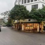  75m2