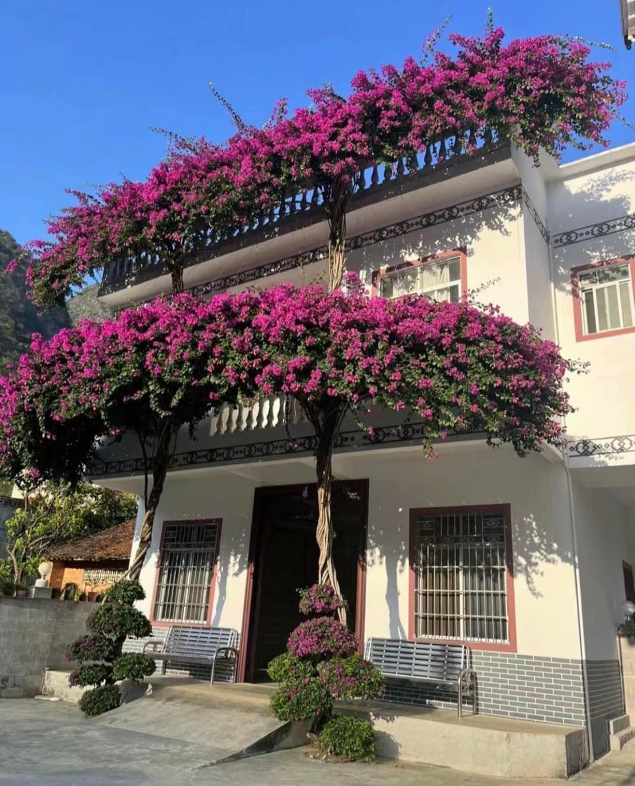 Nhà xấu giá cao, duy nhất ko có căn so sánh. 5 tầng mặt tiền p. Tân Định, Quận 1, ngang 9m, 20tỷ TL