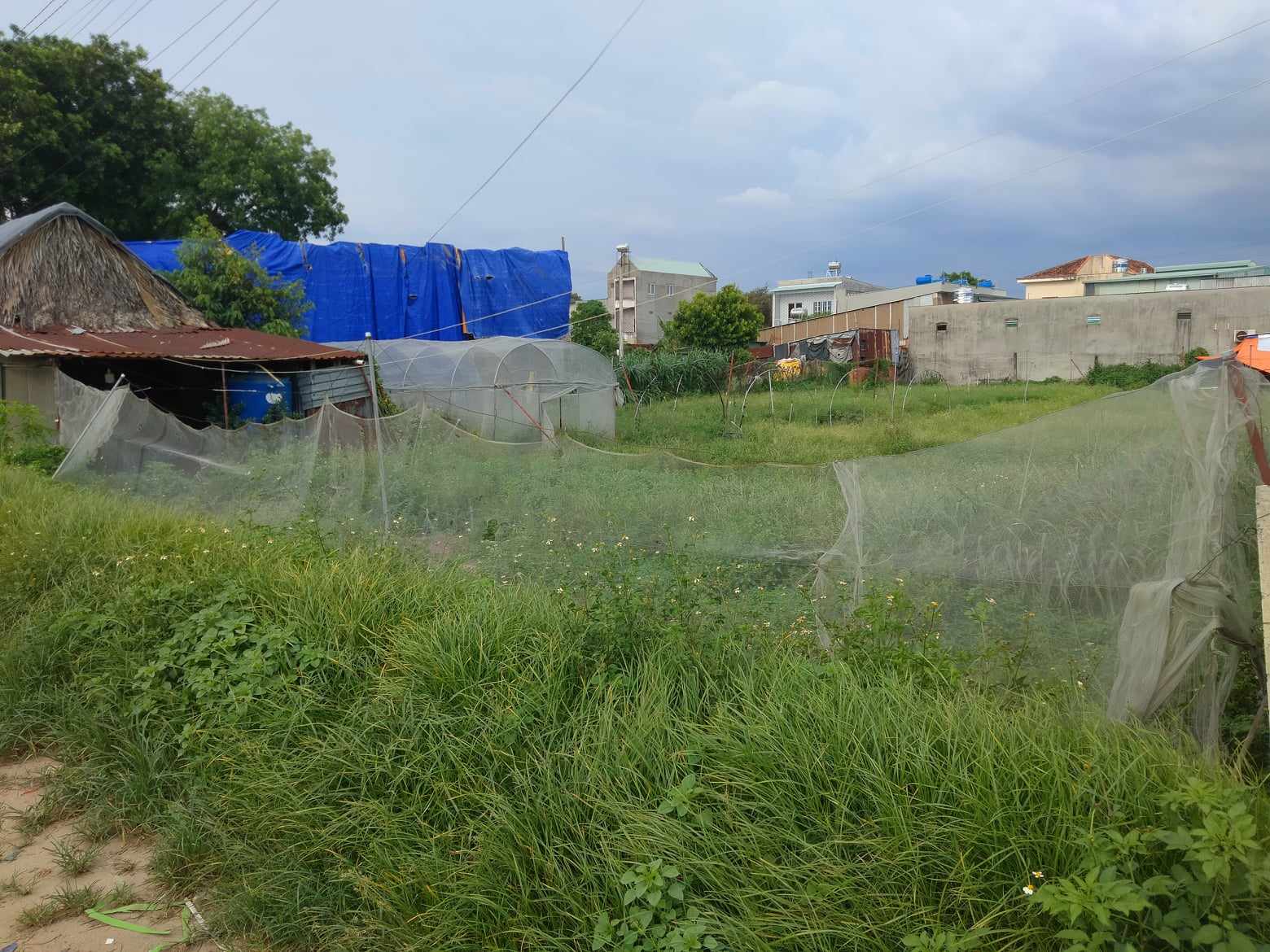 GIẢM GIÁ BÁN GẤP ĐẤT 631M2(13M x 48M) NHỈNH 4 TỶ Nguyễn Thị Thảnh Hóc Môn