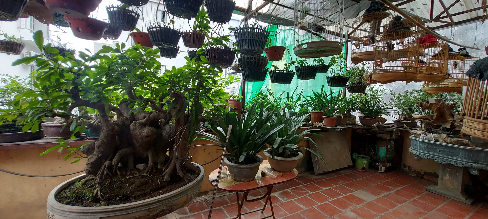 CẦN BÁN GẤP NHÀ PHẠM VĂN ĐỒNG CẦU GIẤY 4OMx 4T x 6,5M MẶT TIỀN x 5 TỶ THOÁNG TRƯỚC SAU CHỦ TỰ XÂY CHẮC CHẮN CHUẨN CÔNG NĂNG Ở TUYỆT VỜI.