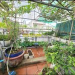  45m2 - 4