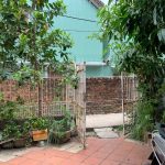  100m2 - 1
