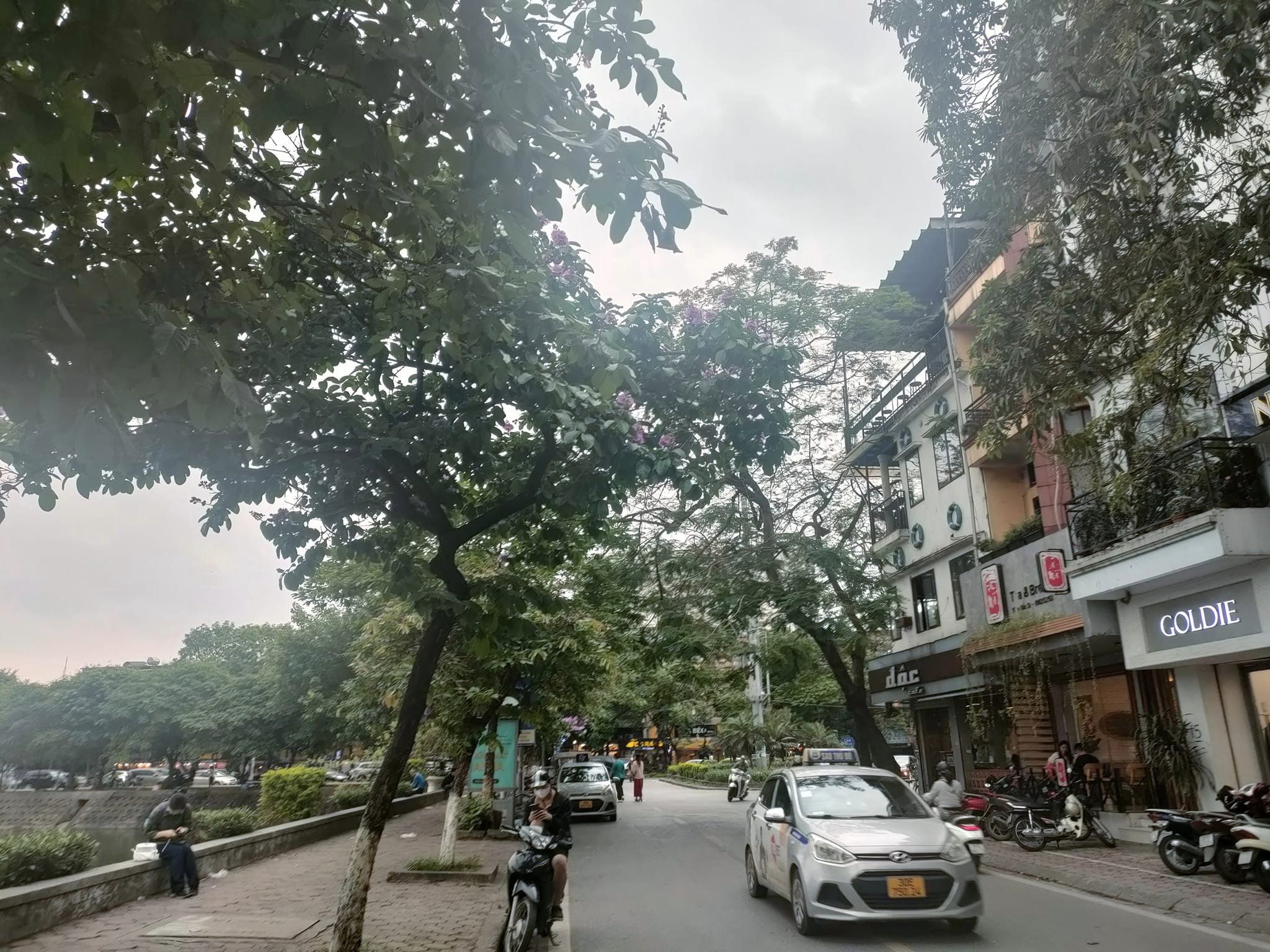 Mặt Phố Hồ Đắc Di_Vị Trí Đắc Địa_View Hồ An Sinh Đỉnh_KD Ngày Đêm Sầm Uất_Giá Tốt_LH 24/24