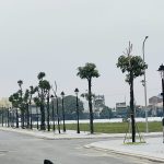  700m2 - 3