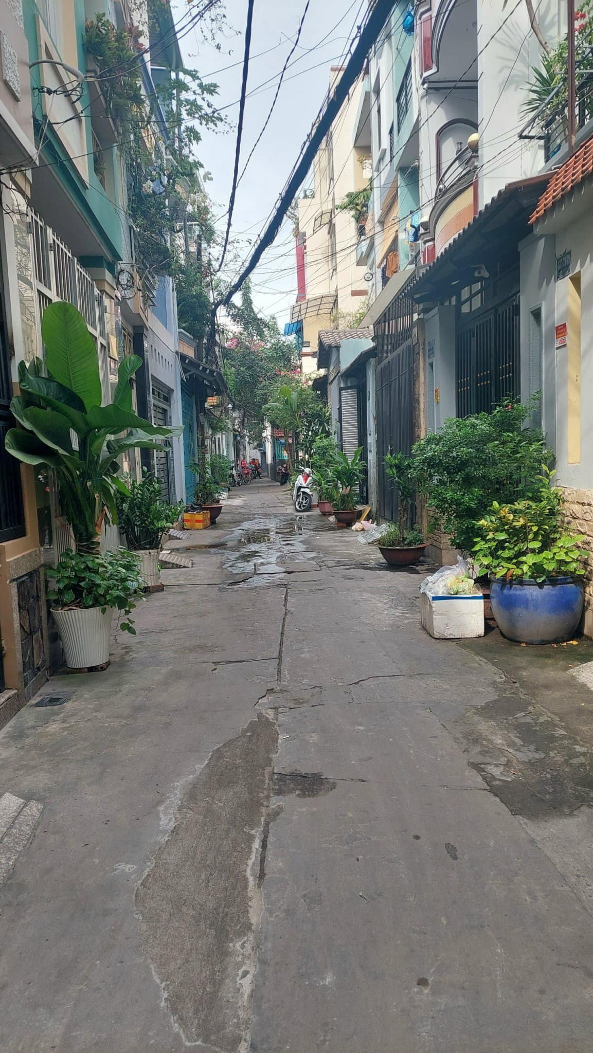 Bán nhà Tân Bình, chỉ 3.2 tỷ HXH Lạc Long Quân, 24m2 ngang 3.7m.