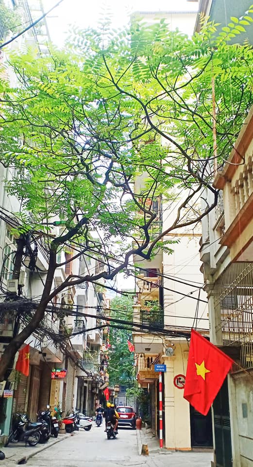 CÓ 1 0 2 TRUNG TÂM CẦU GIẤY, NHÀ ĐẸP LONG LANH, NGÕ NÔNG, KINH DOANH 40m, 4.15 tỷ