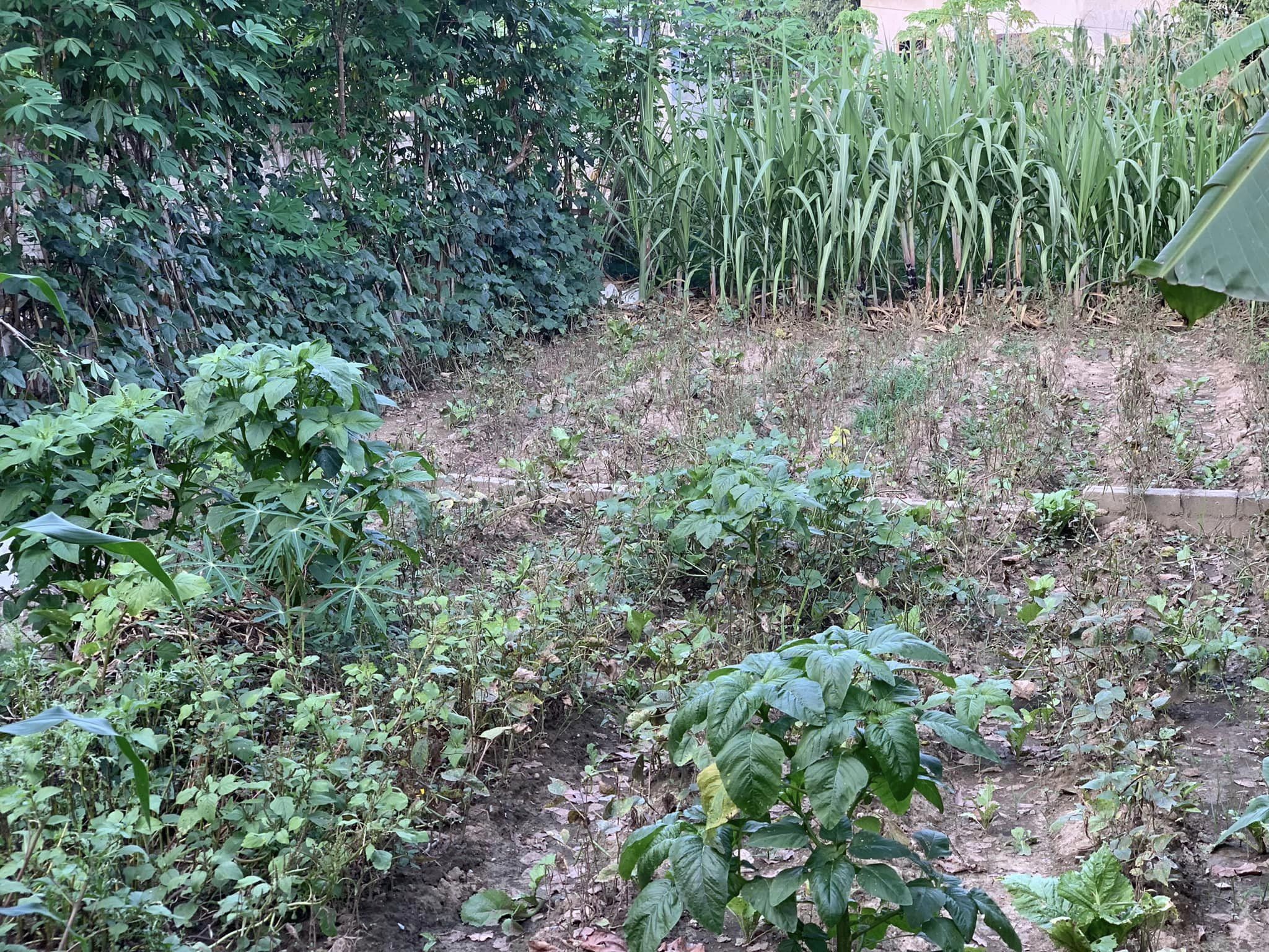 Gia đình có mảnh đất tại Thanh Yên cần giao b.á.n