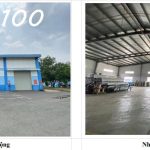  5000m2 - 1