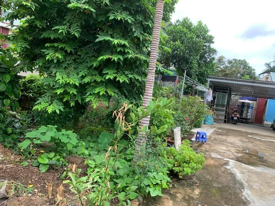 Bán mảnh đất nằm trong ngõ cạnh chợ C4