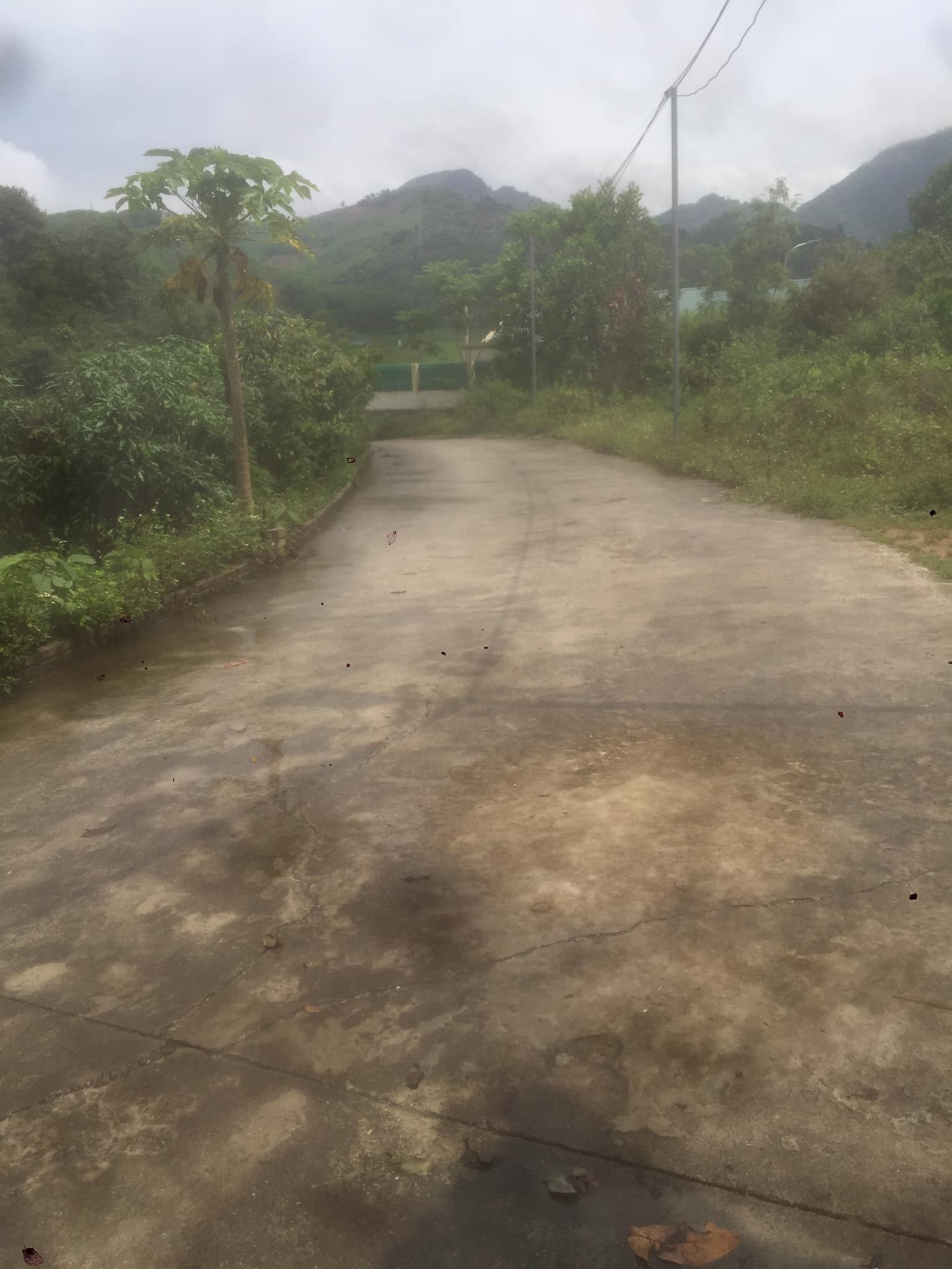 Cần bán gấp nhà đất mặt đường xã Thanh Nưa, huyện Điện Biên