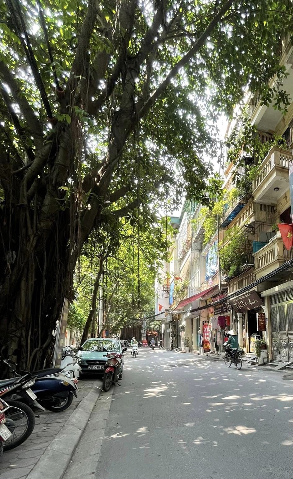 Hiếm Mặt Phố Cự Lộc_Nhà Đẹp Ở Luôn_Kinh Doanh Sầm Uất_Khu Vực An Sinh Tốt_Giá Cực Hợp Lý