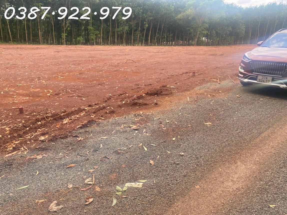 250m2 đất thổ cư, sổ sẵn sát trường Tiểu học, giá khai thông nguồn vốn 520tr!